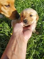 processed/406c6892-608c-433b-af1f-f1e122821d5f/facility/fbbd530b-a25c-48f9-9551-7efc98b483ca