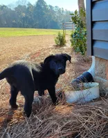 processed/407c1ebf-29f5-4687-9653-bba363b7e930/listing/22043280-659a-4842-8255-cdcd9c79bd1b/0876ddd0-82ec-47c0-86fb-8c042173a39a