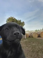 processed/407c1ebf-29f5-4687-9653-bba363b7e930/listing/22043280-659a-4842-8255-cdcd9c79bd1b/564b8ed3-25dc-470c-a87a-dd1713aaa882