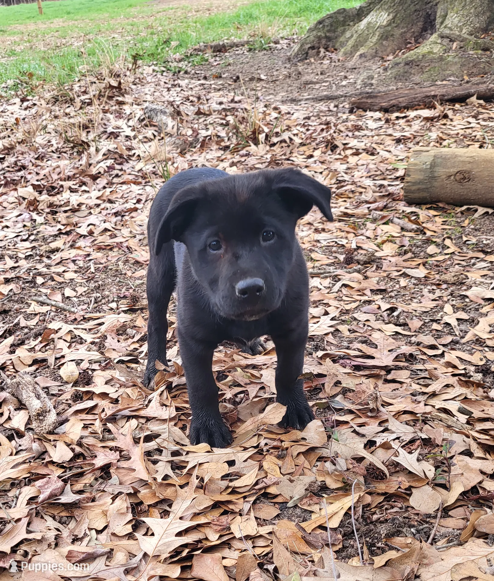 processed/407c1ebf-29f5-4687-9653-bba363b7e930/listing/22043280-659a-4842-8255-cdcd9c79bd1b/97fcff3f-721a-4667-9498-9012c403754d