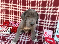 processed/407cc273-ff43-4682-92d9-66181007c91c/listing/4d3a6f61-d4ef-41e8-b6d0-9fd56b3fc92c/5c9e0822-e473-4b48-853b-439e224d4cff