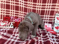 processed/407cc273-ff43-4682-92d9-66181007c91c/listing/4d3a6f61-d4ef-41e8-b6d0-9fd56b3fc92c/625d25a4-ccbd-4925-80d6-46957a7a8c46