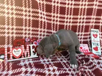 processed/407cc273-ff43-4682-92d9-66181007c91c/listing/4d3a6f61-d4ef-41e8-b6d0-9fd56b3fc92c/70c7a9b9-283b-414f-ad37-2a7b2021c9e3