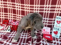 processed/407cc273-ff43-4682-92d9-66181007c91c/listing/4d3a6f61-d4ef-41e8-b6d0-9fd56b3fc92c/efbb5859-021b-46d7-9c1d-efcb5e924c59