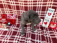 processed/407cc273-ff43-4682-92d9-66181007c91c/listing/4ecfc186-9b2d-4da2-ac46-2a615f5e9c8d/1b4fec6b-59e9-4cab-9770-536c0c6a721e