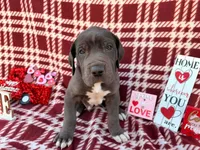 processed/407cc273-ff43-4682-92d9-66181007c91c/listing/4ecfc186-9b2d-4da2-ac46-2a615f5e9c8d/24ee249a-a4de-4d19-b0d1-482b0c378460