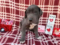 processed/407cc273-ff43-4682-92d9-66181007c91c/listing/4ecfc186-9b2d-4da2-ac46-2a615f5e9c8d/b729eaa3-f1bc-4971-ade1-15fdcdafeace