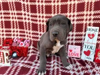 processed/407cc273-ff43-4682-92d9-66181007c91c/listing/4ecfc186-9b2d-4da2-ac46-2a615f5e9c8d/e2c4d0b5-e44a-4446-b123-234374756463