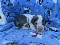 processed/407cc273-ff43-4682-92d9-66181007c91c/listing/589c623f-75c2-426c-8b80-51fd3950b2fc/8c7b9584-d637-4c97-9528-a6bc948c9790