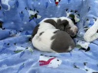 processed/407cc273-ff43-4682-92d9-66181007c91c/listing/589c623f-75c2-426c-8b80-51fd3950b2fc/96a2fa82-b900-4416-bcf5-263e91e60ae3