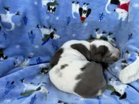 processed/407cc273-ff43-4682-92d9-66181007c91c/listing/589c623f-75c2-426c-8b80-51fd3950b2fc/df956c1a-40dd-4e55-9de8-c58c04aa480c