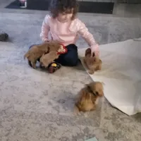 processed/407da9ba-0b62-4de1-b54c-78432285791a/facility/6f19a8f1-b918-441e-a72d-2307f8a5c7d2