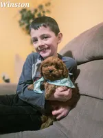 Winston, a male Cavapoo for sale in Sarasota, FL – Photo 1 of 10