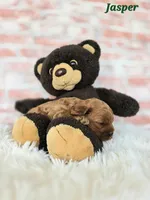 Jasper, a male Cavapoo for sale in Sarasota, FL – Photo 5 of 5