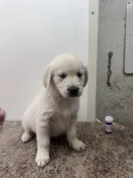 processed/408f008d-a439-46e5-abc1-dceb7ade8c5f/listing/14c372e4-1cc6-4a3b-96f2-966a3e46ffb4/20f07d46-27e1-4373-b532-9277d755459f