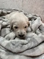 processed/408f008d-a439-46e5-abc1-dceb7ade8c5f/listing/14c372e4-1cc6-4a3b-96f2-966a3e46ffb4/65ddaf62-090b-4bab-bdfe-2770c186cb76