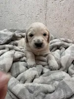 processed/408f008d-a439-46e5-abc1-dceb7ade8c5f/listing/14c372e4-1cc6-4a3b-96f2-966a3e46ffb4/8dc52f49-3357-43b5-82ad-a4d2a292de40