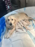 processed/408f008d-a439-46e5-abc1-dceb7ade8c5f/listing/155de78c-75ce-4988-94d8-30a17d61dfef/05cbc770-0d56-4b0e-9a47-eb2c08f2a731