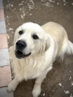 processed/408f008d-a439-46e5-abc1-dceb7ade8c5f/listing/155de78c-75ce-4988-94d8-30a17d61dfef/b0ef98f0-db27-4c15-b716-fd77c0a075c2