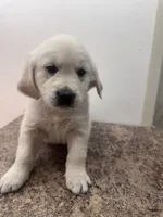 processed/408f008d-a439-46e5-abc1-dceb7ade8c5f/listing/155de78c-75ce-4988-94d8-30a17d61dfef/bfa93d84-5326-49e8-9d01-3b9f452a1ab5