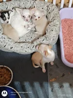 processed/40908096-5306-4a3f-9bf6-2c3b93d31dfd/facility/2f4a73f7-9fea-4a04-94a9-e5d3e8190fa7