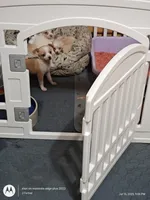 processed/40908096-5306-4a3f-9bf6-2c3b93d31dfd/facility/5ffc0818-516d-4e6b-9096-ba5132d53fc5