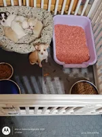 processed/40908096-5306-4a3f-9bf6-2c3b93d31dfd/facility/e3c36bc5-43b5-4d3f-ad88-b2d6ec791abc