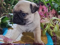 processed/40908096-5306-4a3f-9bf6-2c3b93d31dfd/listing/8927ceff-f3a1-48e5-8c72-26fe6338eba1/305f0b65-a9cc-44bc-8e34-3e6eb3d53c6b