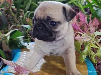 processed/40908096-5306-4a3f-9bf6-2c3b93d31dfd/listing/8927ceff-f3a1-48e5-8c72-26fe6338eba1/3ca0c816-6cc3-43f9-b510-a68e940457e5