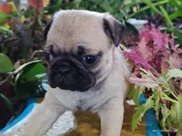 processed/40908096-5306-4a3f-9bf6-2c3b93d31dfd/listing/8927ceff-f3a1-48e5-8c72-26fe6338eba1/47415d2b-db62-4609-819d-8247e9147396