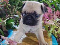 processed/40908096-5306-4a3f-9bf6-2c3b93d31dfd/listing/8927ceff-f3a1-48e5-8c72-26fe6338eba1/565b7e5c-4456-46e2-9ba3-ff62be4b553e