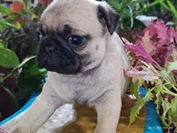 processed/40908096-5306-4a3f-9bf6-2c3b93d31dfd/listing/8927ceff-f3a1-48e5-8c72-26fe6338eba1/83bec1d5-701d-40a1-bdb7-ab5c2312bd5e