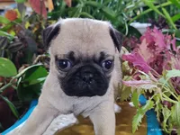 processed/40908096-5306-4a3f-9bf6-2c3b93d31dfd/listing/8927ceff-f3a1-48e5-8c72-26fe6338eba1/b71ce66d-0a6b-4836-b573-79de6d61d95d