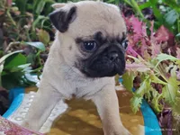 processed/40908096-5306-4a3f-9bf6-2c3b93d31dfd/listing/8927ceff-f3a1-48e5-8c72-26fe6338eba1/effe0d8b-b1b3-4956-96ec-5f4e48585100