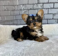 processed/4093d60d-e441-4b50-897c-b4f55231ea6f/listing/94ded485-82ec-4837-91d8-c469b9d2fdff/7c09c453-f7f2-44fa-918a-2e9cf40327b8