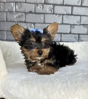 processed/4093d60d-e441-4b50-897c-b4f55231ea6f/listing/94ded485-82ec-4837-91d8-c469b9d2fdff/92975491-5191-4411-8fe2-8715b2f7bbbe