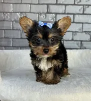 processed/4093d60d-e441-4b50-897c-b4f55231ea6f/listing/94ded485-82ec-4837-91d8-c469b9d2fdff/d482eb6e-787c-4ad9-8102-bd8067a7d9c8