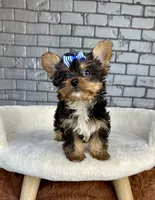 processed/4093d60d-e441-4b50-897c-b4f55231ea6f/listing/94ded485-82ec-4837-91d8-c469b9d2fdff/ee75b46b-0dba-41e5-9e20-68ebb8885a14