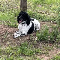 processed/409dd05e-0aa6-4e44-bedb-6e5847d7d1bd/facility/27e4b2f7-f8c3-40ad-8a26-d3e808e664dc