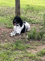 processed/409dd05e-0aa6-4e44-bedb-6e5847d7d1bd/facility/27e4b2f7-f8c3-40ad-8a26-d3e808e664dc