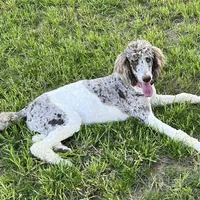 processed/409dd05e-0aa6-4e44-bedb-6e5847d7d1bd/facility/3c011a79-1167-45bc-990b-5b68905f753d