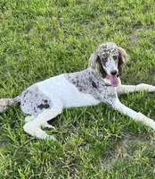 processed/409dd05e-0aa6-4e44-bedb-6e5847d7d1bd/facility/3c011a79-1167-45bc-990b-5b68905f753d