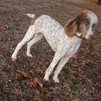 processed/409dd05e-0aa6-4e44-bedb-6e5847d7d1bd/facility/420138bc-45ff-48ce-aebb-536f4eef712b