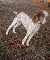 processed/409dd05e-0aa6-4e44-bedb-6e5847d7d1bd/facility/420138bc-45ff-48ce-aebb-536f4eef712b