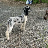 processed/409dd05e-0aa6-4e44-bedb-6e5847d7d1bd/facility/45408c0b-fc5f-4e0b-a73c-8a9323fcef56