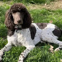 processed/409dd05e-0aa6-4e44-bedb-6e5847d7d1bd/facility/5a509ec3-4208-4fd4-8641-48f62a450124