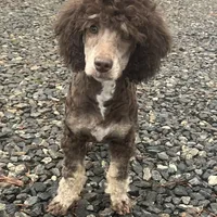 processed/409dd05e-0aa6-4e44-bedb-6e5847d7d1bd/facility/64c10f3d-7ce1-4c2c-8da6-9d6ae12f3cea