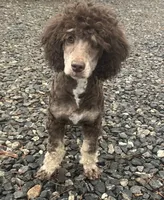 processed/409dd05e-0aa6-4e44-bedb-6e5847d7d1bd/facility/64c10f3d-7ce1-4c2c-8da6-9d6ae12f3cea