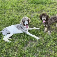 processed/409dd05e-0aa6-4e44-bedb-6e5847d7d1bd/facility/f65601b9-c565-451e-ac5c-42f42ca8a454