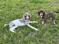 processed/409dd05e-0aa6-4e44-bedb-6e5847d7d1bd/facility/f65601b9-c565-451e-ac5c-42f42ca8a454